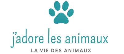 J'adore les animaux
