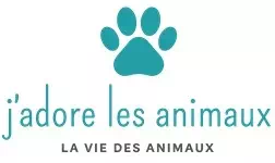 J'adore les animaux